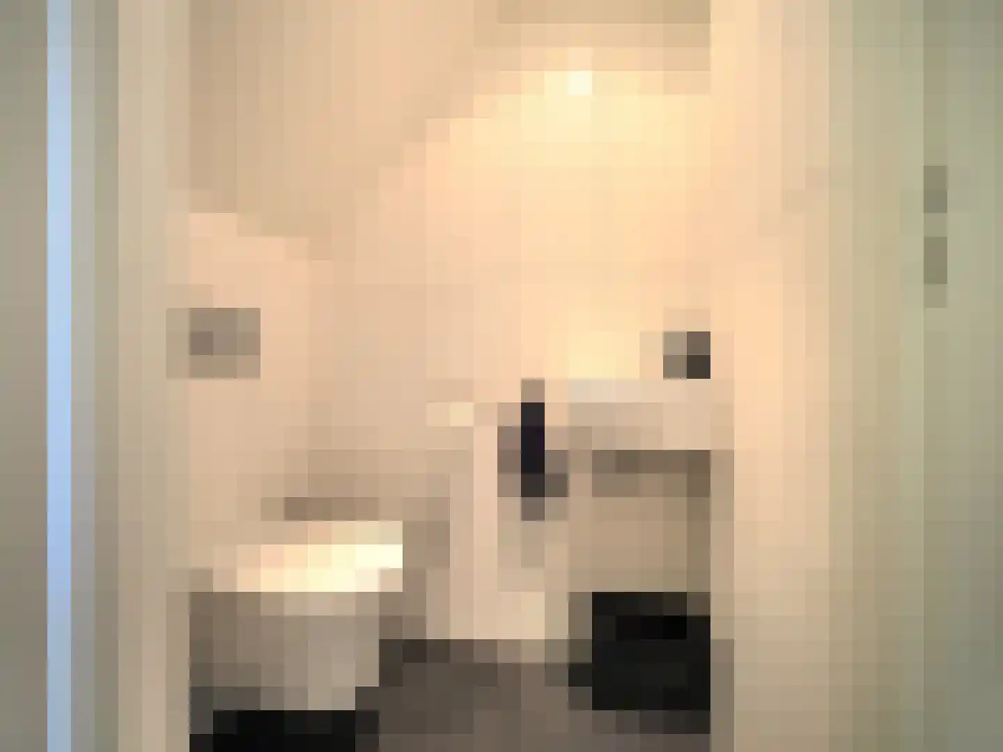 Hazelaarhof 10 Papendrecht thumbnail 15