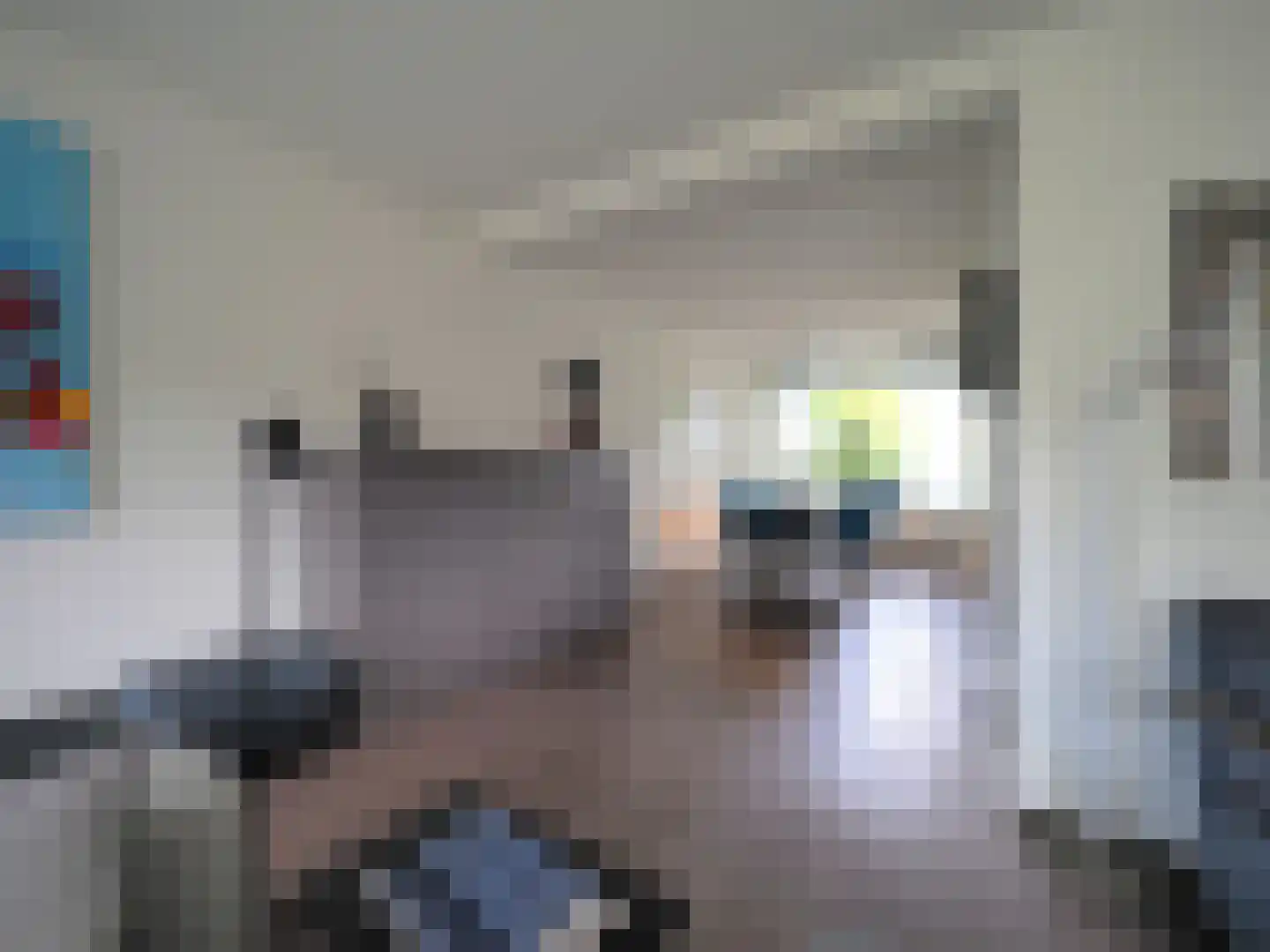 Hazelaarhof 10 Papendrecht thumbnail 22
