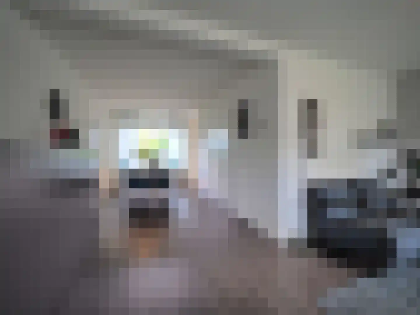 Hazelaarhof 10 Papendrecht thumbnail 23