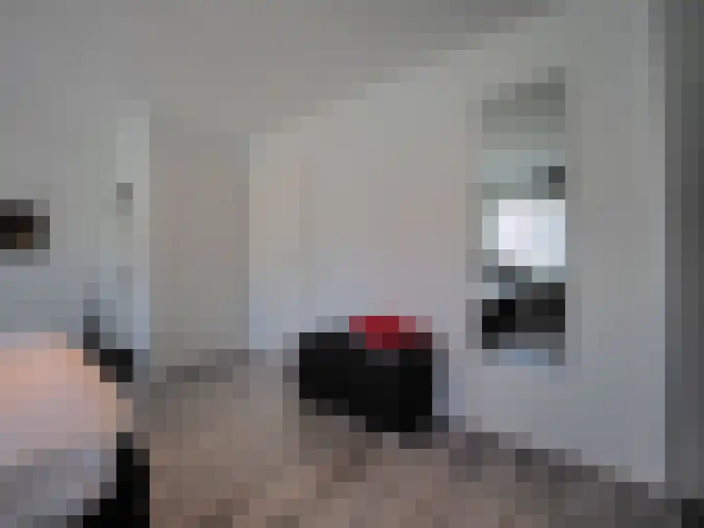 Hazelaarhof 10 Papendrecht thumbnail 35