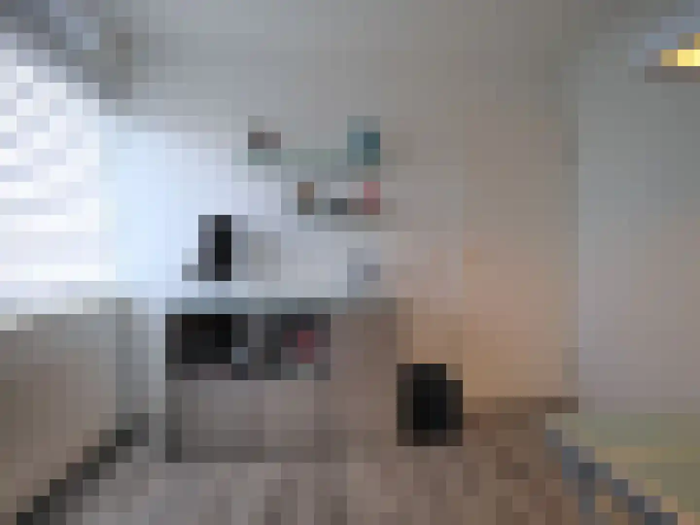 Hazelaarhof 10 Papendrecht thumbnail 38