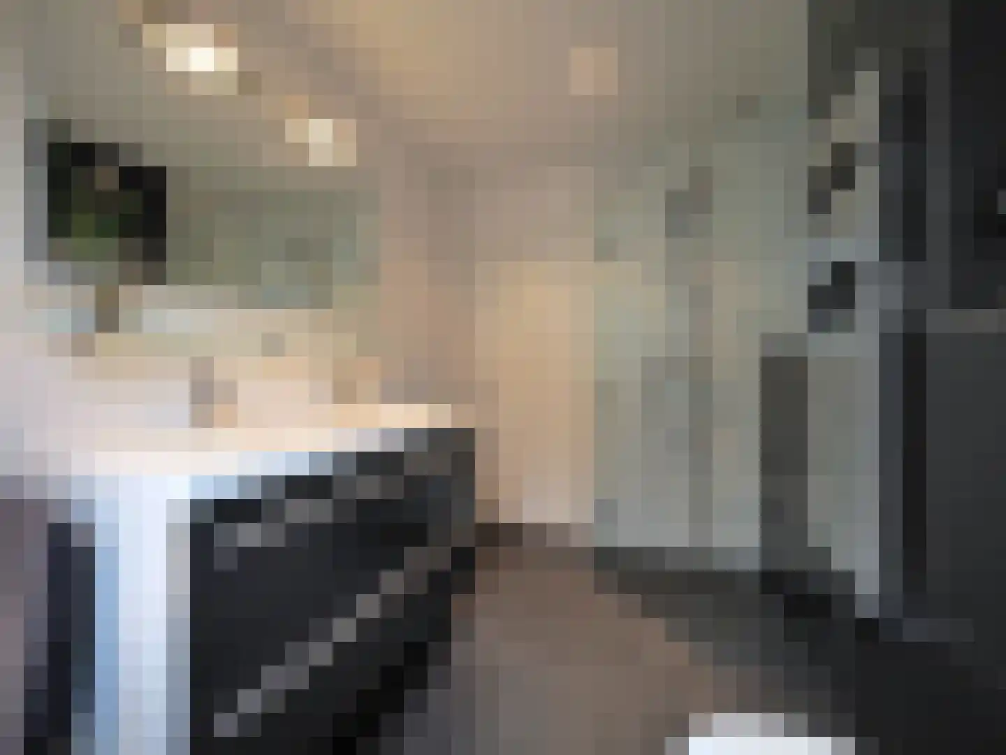 Hazelaarhof 10 Papendrecht thumbnail 40