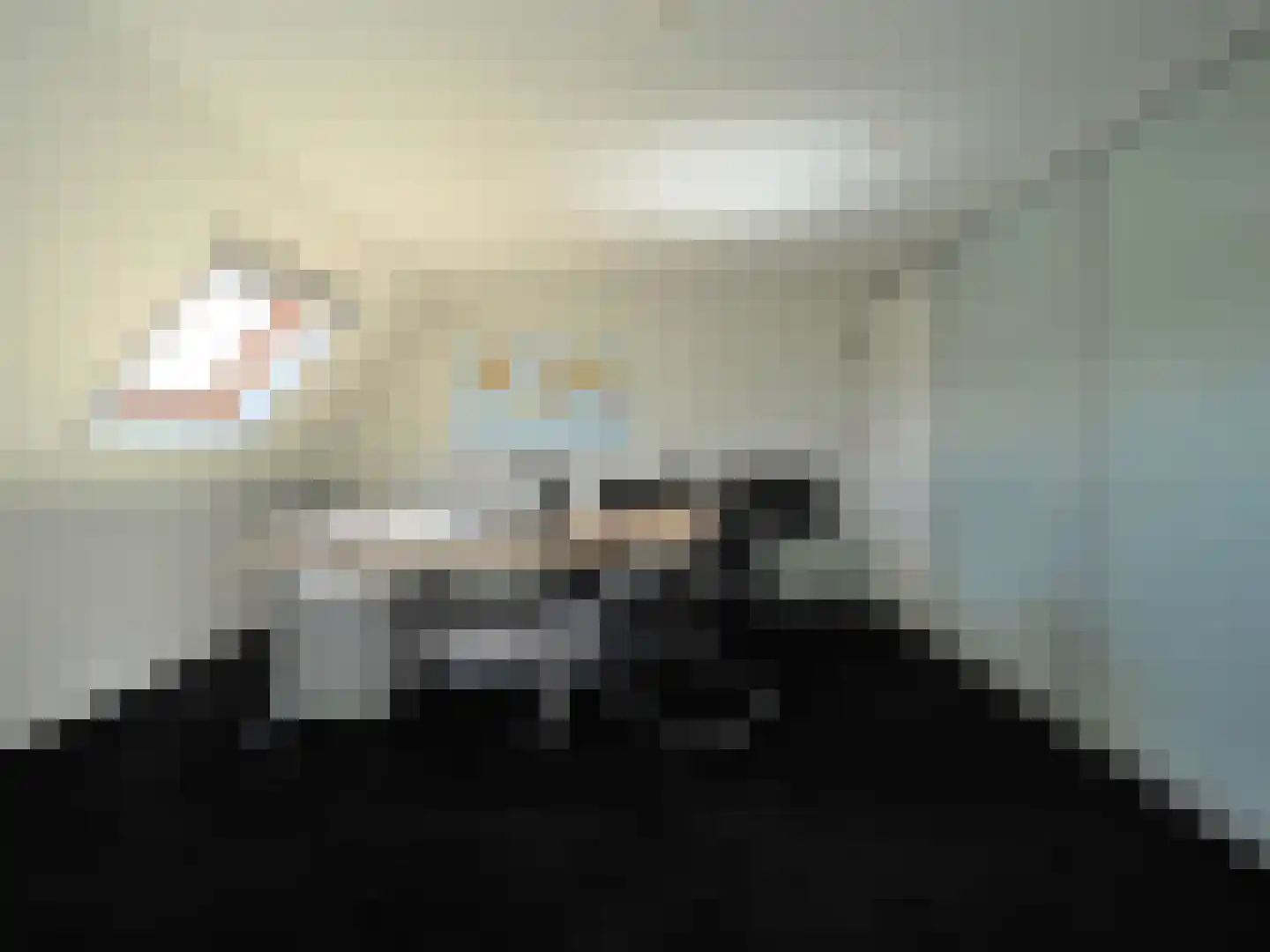Hazelaarhof 10 Papendrecht thumbnail 47