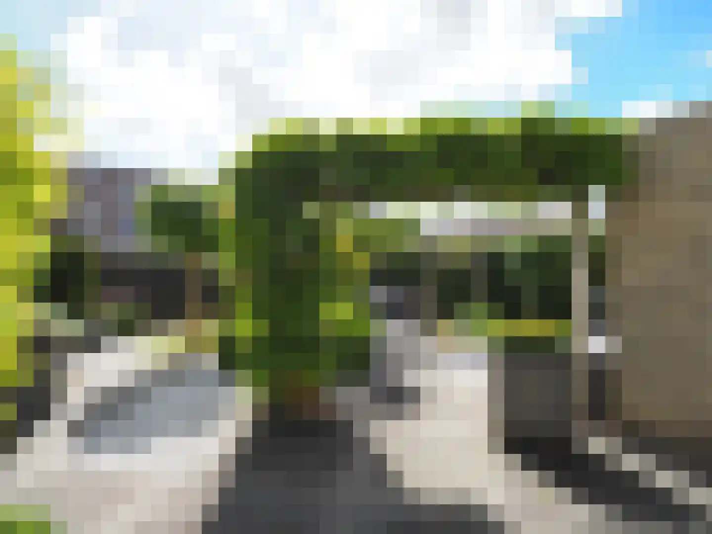 Hazelaarhof 10 Papendrecht thumbnail 54
