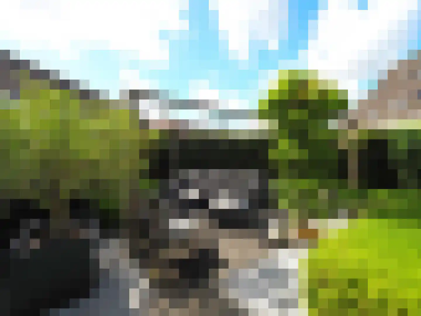 Hazelaarhof 10 Papendrecht thumbnail 55