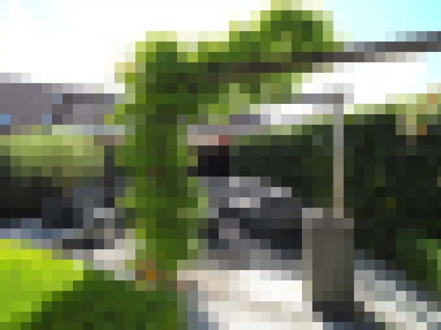 Hazelaarhof 10 Papendrecht thumbnail 57