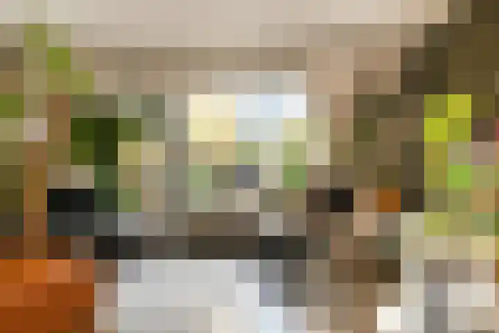 Hazelaarhof 11 Nootdorp thumbnail 14