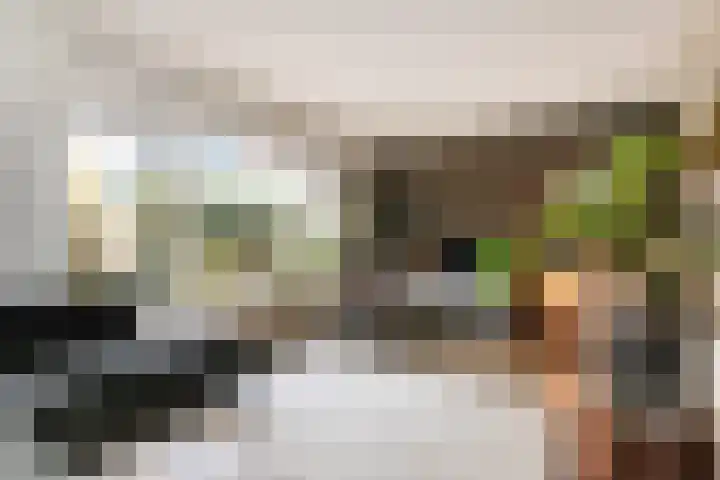 Hazelaarhof 11 Nootdorp thumbnail 18