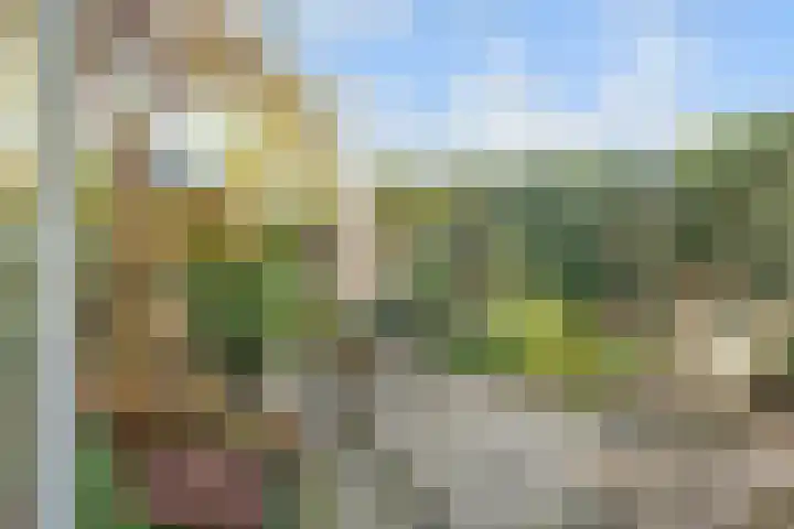 Hazelaarhof 11 Nootdorp thumbnail 19