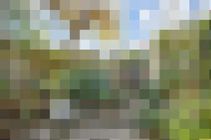 Hazelaarhof 11 Nootdorp thumbnail 20