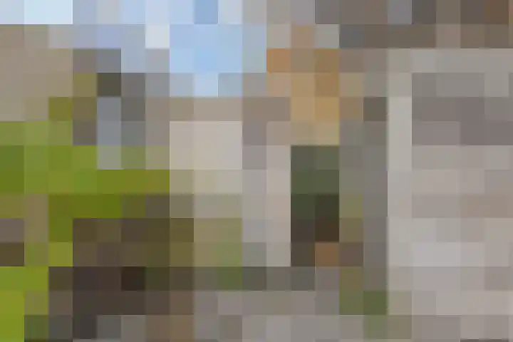Hazelaarhof 11 Nootdorp thumbnail 26