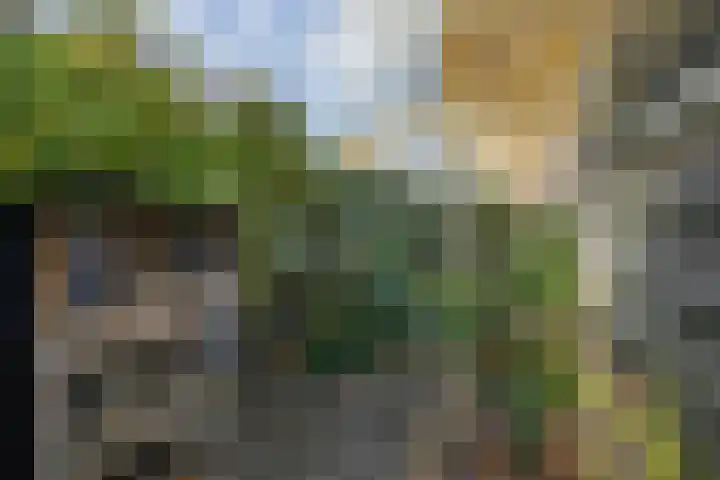 Hazelaarhof 11 Nootdorp thumbnail 27