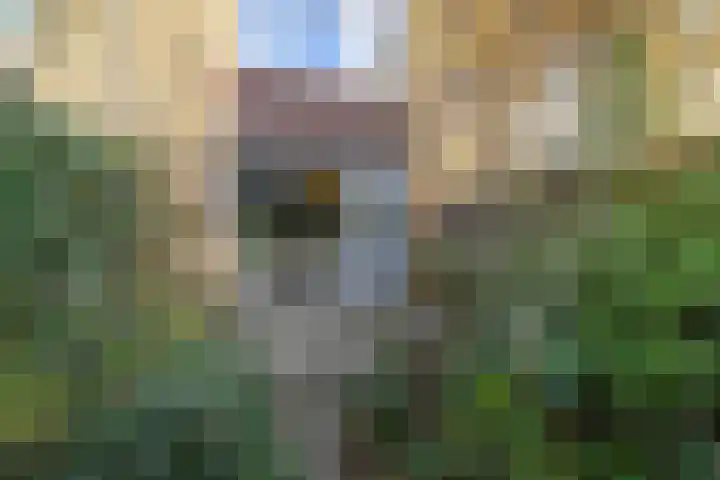 Hazelaarhof 11 Nootdorp thumbnail 28