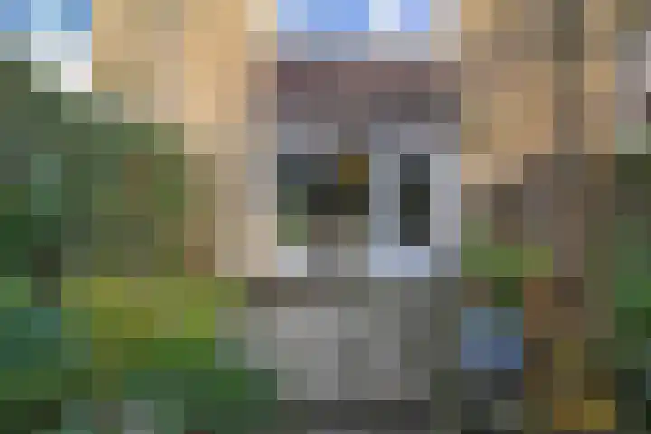 Hazelaarhof 11 Nootdorp thumbnail 29