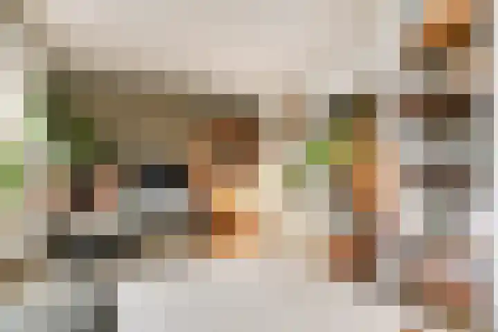 Hazelaarhof 11 Nootdorp thumbnail 31
