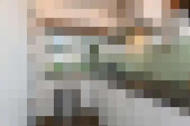 Hazelaarhof 11 Nootdorp thumbnail 37
