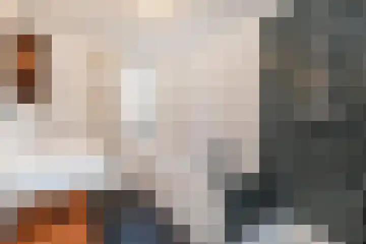 Hazelaarhof 11 Nootdorp thumbnail 4