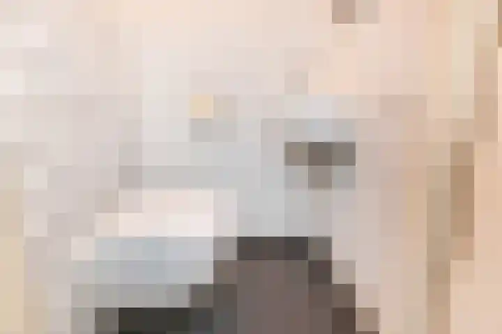Hazelaarhof 11 Nootdorp thumbnail 41