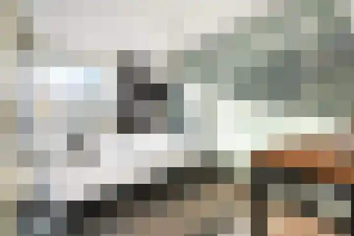 Hazelaarhof 11 Nootdorp thumbnail 44