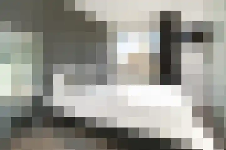 Hazelaarhof 11 Nootdorp thumbnail 45