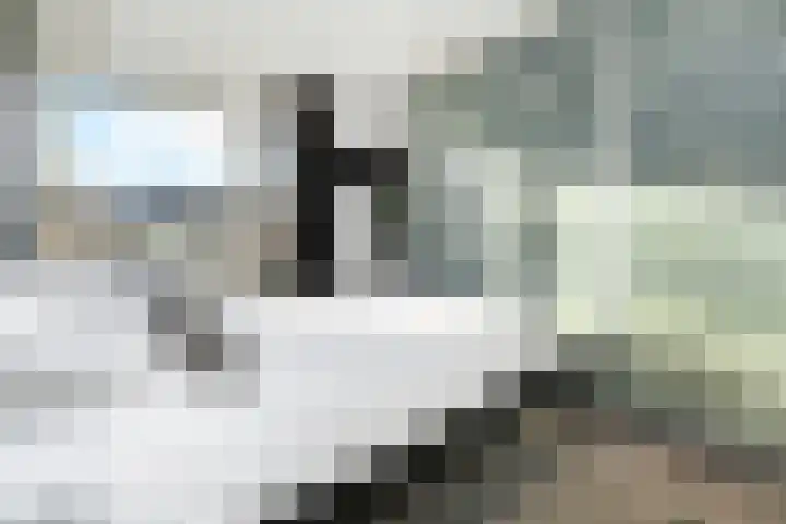 Hazelaarhof 11 Nootdorp thumbnail 46