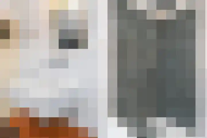 Hazelaarhof 11 Nootdorp thumbnail 53