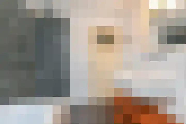 Hazelaarhof 11 Nootdorp thumbnail 54