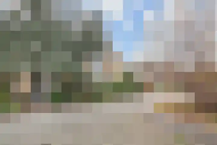 Hazelaarhof 11 Nootdorp thumbnail 6