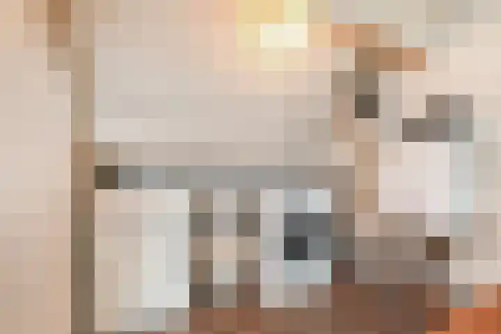 Hazelaarhof 11 Nootdorp thumbnail 62