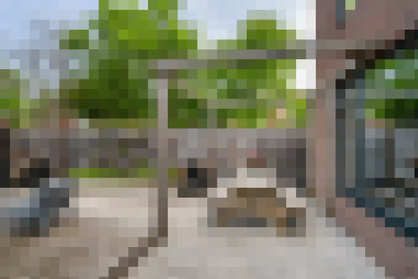 Hazelaarhof 2 's-Gravenzande thumbnail 12