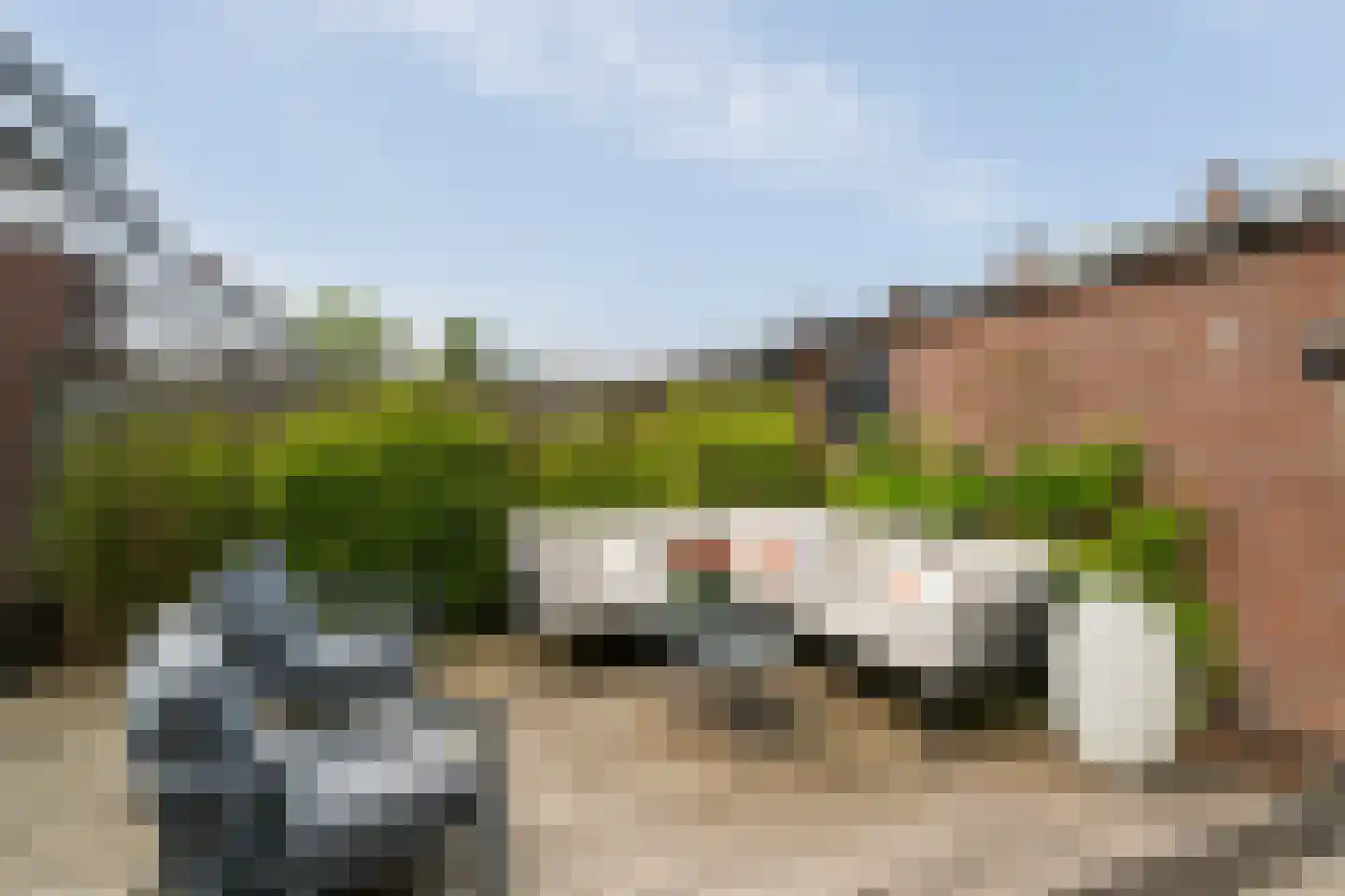 Hazelaarhof 2 's-Gravenzande thumbnail 14