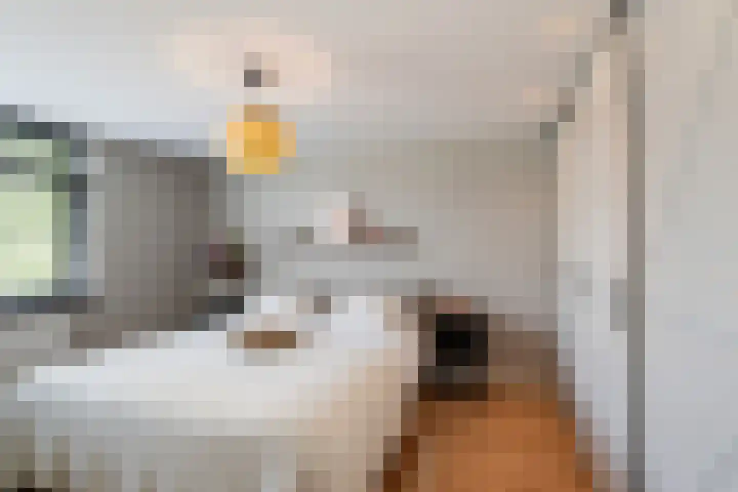 Hazelaarhof 2 's-Gravenzande thumbnail 18