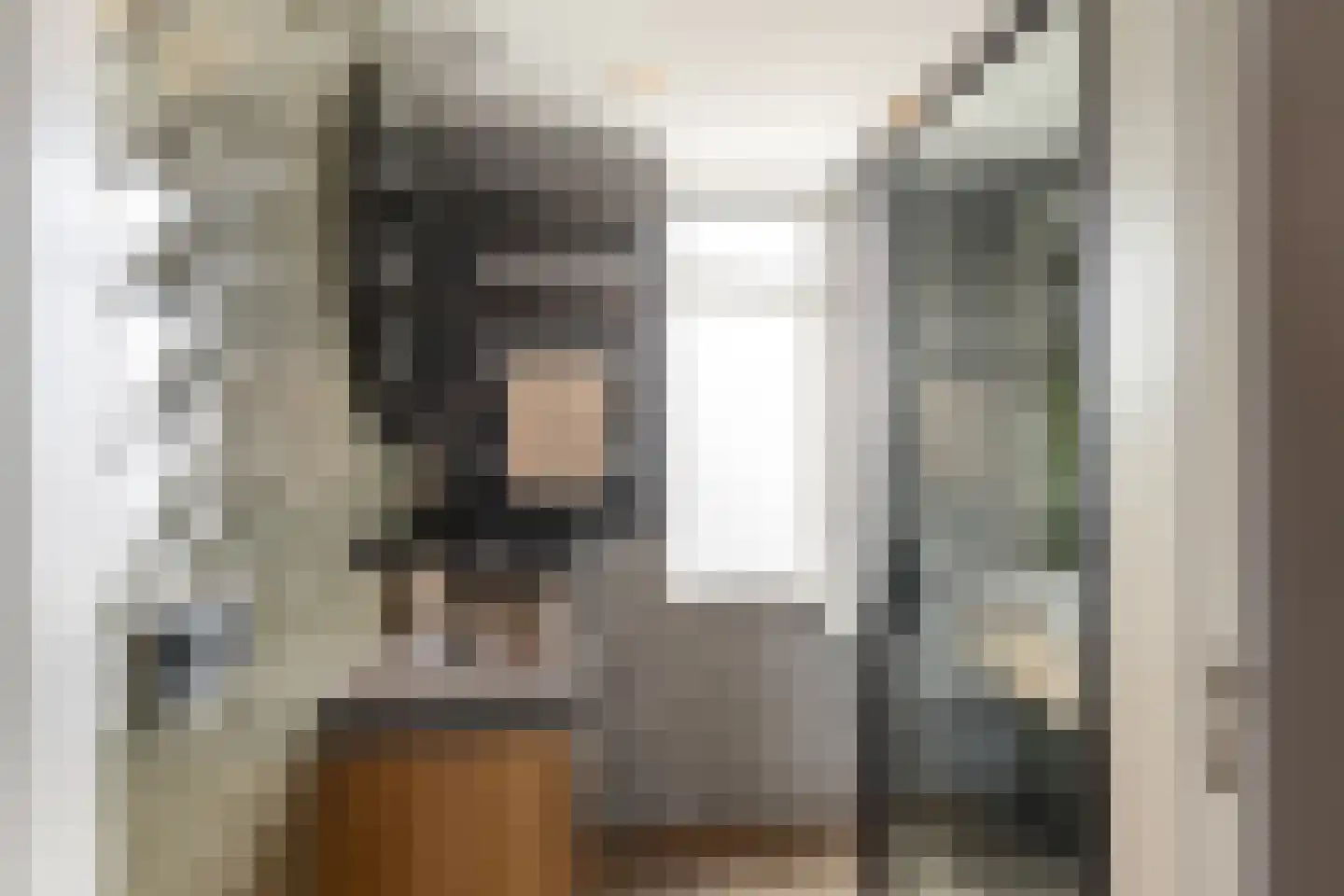 Hazelaarhof 2 's-Gravenzande thumbnail 22