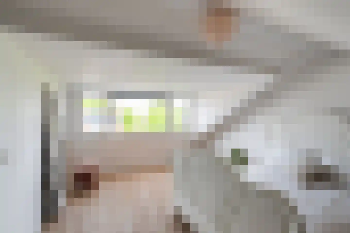 Hazelaarhof 2 's-Gravenzande thumbnail 34