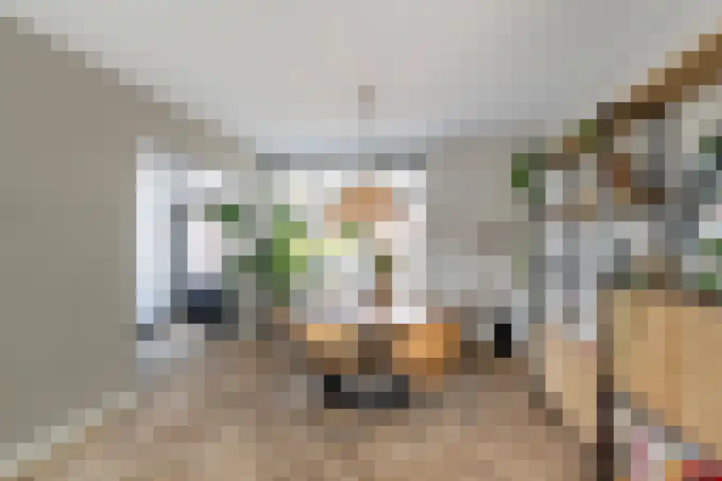 Hazelaarhof 2 's-Gravenzande thumbnail 4