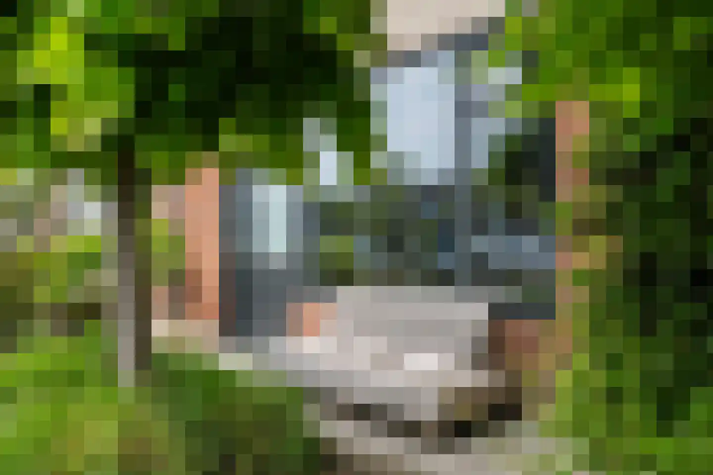 Hazelaarhof 2 's-Gravenzande thumbnail 42
