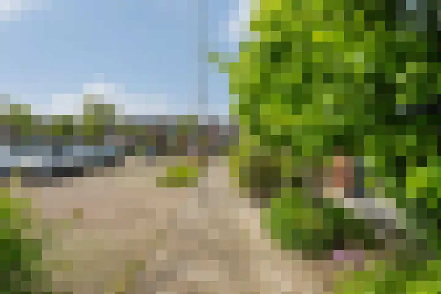 Hazelaarhof 2 's-Gravenzande thumbnail 43