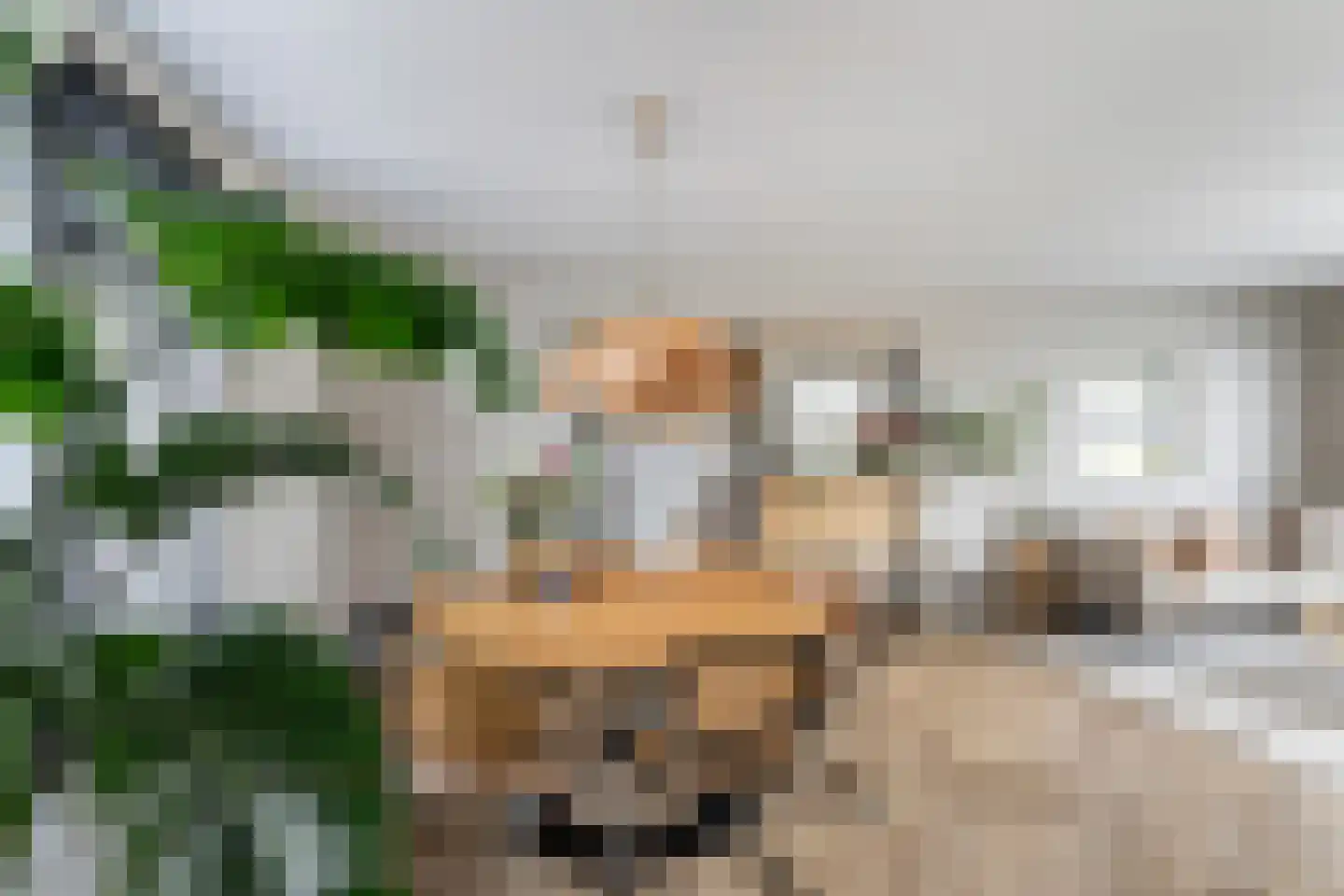 Hazelaarhof 2 's-Gravenzande thumbnail 6