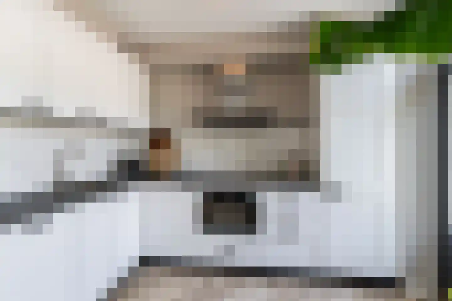 Hazelaarhof 2 's-Gravenzande thumbnail 8