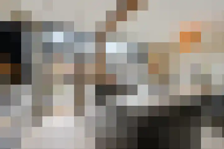 Hazelaarhof 20 's-Gravenzande thumbnail 15