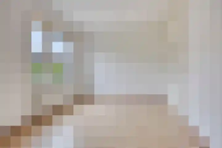Hazelaarhof 26 Assen thumbnail 16