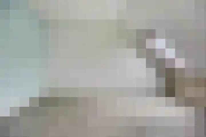 Hazelaarhof 26 Assen thumbnail 21