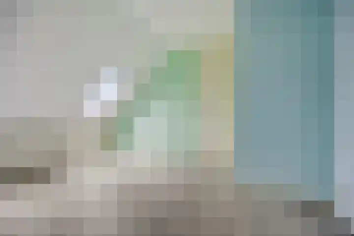 Hazelaarhof 26 Assen thumbnail 22