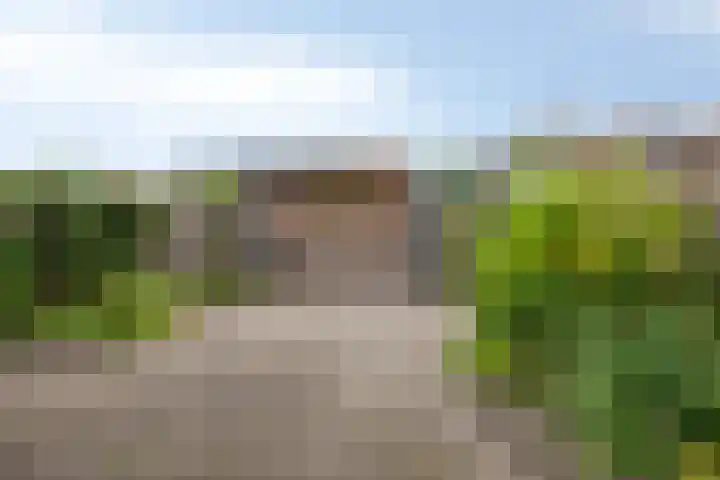 Hazelaarhof 26 Assen thumbnail 28