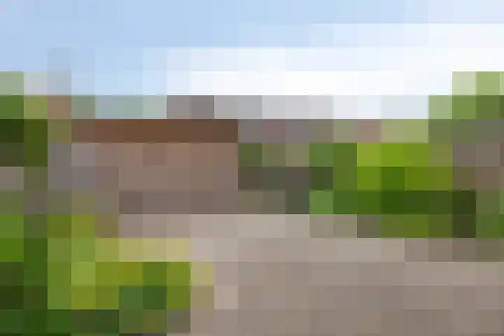 Hazelaarhof 26 Assen thumbnail 29