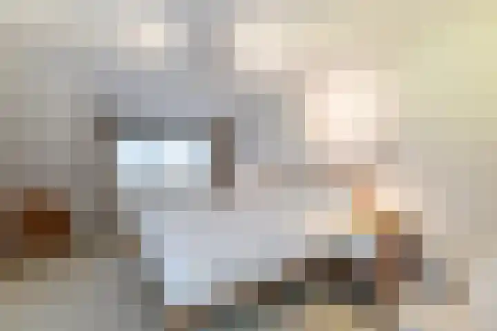 Hazelaarhof 35 Papendrecht thumbnail 18