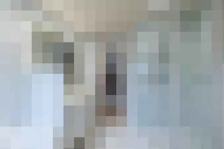 Hazelaarhof 35 Papendrecht thumbnail 23