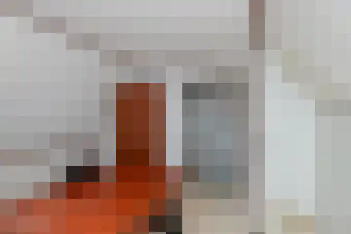 Hazelaarhof 35 Papendrecht thumbnail 26