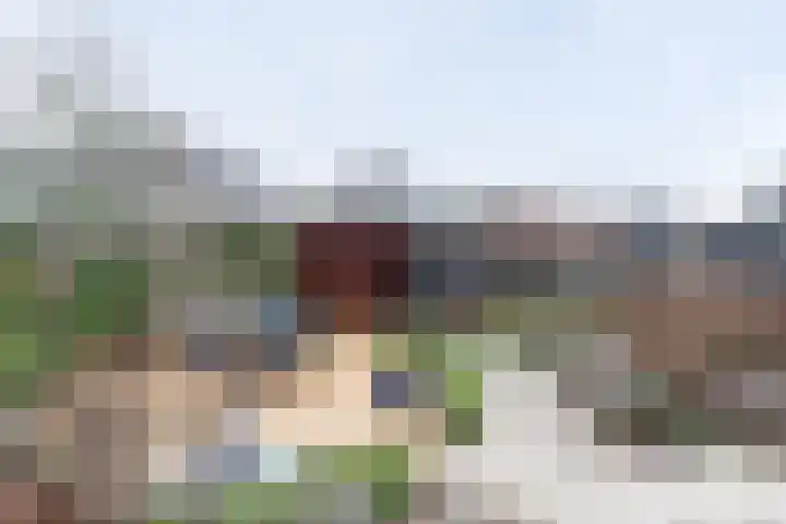 Hazelaarhof 35 Papendrecht thumbnail 28