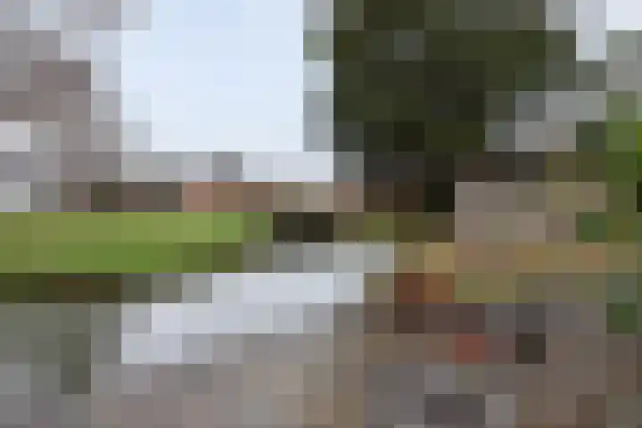 Hazelaarhof 35 Papendrecht thumbnail 29